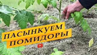 Пасынкование томатов в теплице  Как и когда пасынковать помидоры.