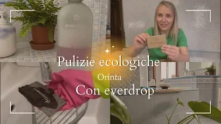 Testiamo insieme efficienza dei prodotti Everdrop| zero waste| plastic free🚮