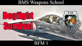 Falcon BMS 4.35 - ACM Modes Tutorial - BFM 1 -  Dogfighting