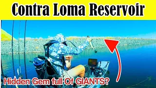 Contra Loma Reservoir | Hidden Gem full Of GIANTS?!