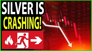 Silver & Gold Are Crashing! RUN FOR THE EXITS?!? #Silver #Gold #UEC #GROY #Stacking #Markets #Crash