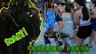 bushman 71 part 2 snake diversion part 2