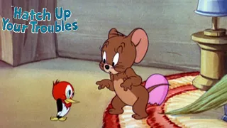 Hatch Up Your Troubles 1949 Tom and Jerry Cartoon Short Film