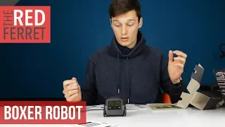 The Tiny Boxer A.I.  Robot is CRAZY!