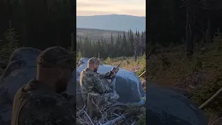 Mountain Buck Hunt BC. #hunting #deer #mountains