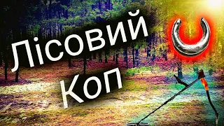 Лісовий коп. #Коп2022 #Копмонетіартефактів