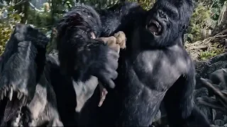 King Kong 2005 - The Adventure Ann Darrow Vs KingKong Best Screens 1080P