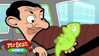 Mr Bean's Lizard Friend! 🦎| Mr Bean Animated Cartoons | Mr Bean World