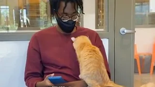 When the Cat at the adoption center chooses you 🧡