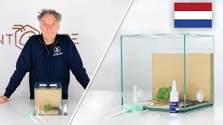 ANTCUBE Starter Kit Combi voor mieren
