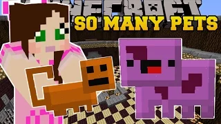 Minecraft: SO MANY PETS! (CREATE HUNDREDS OF EPIC PETS!) Mod Showcase