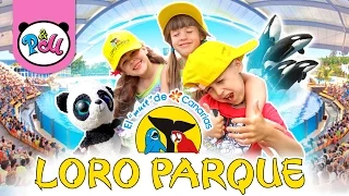 Зоопарк ЛОРО ПАРК- самое интересное на Тенерифе/ Канарские острова#4/ ZOO Loro Parque Tenerife 2016