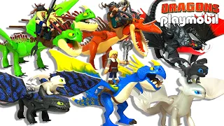 【How to Train Your Dragon】Playmobil