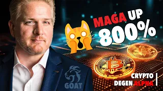 Crypto Degen Alpha 🤑 #maga UP +800%