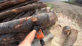 Sawing wood with a Chainsaw (LEGEND STIHL 440 )