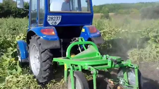 Час збирать картоплю (Вібраційна копачка Бомет з заднім викидом)