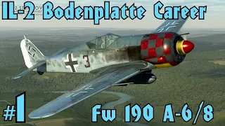 IL-2 FW 190 A-6/8 Career #1 (1440p)