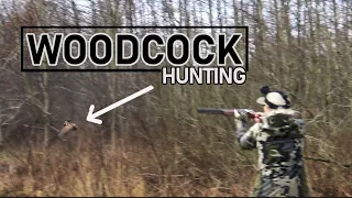 Woodcock Hunting - Hunting_Stef