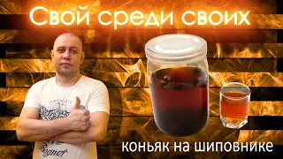 Коньяк на Шиповнике!!!!Рецепт Настойки под Коньяк!!!! от Канала Свой Среди Своих Кулинария