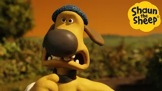 Shaun the Sheep 🐑 Run Dog RUN! - Cartoons for Kids 🐑 Full Episodes Compilation [1 hour]