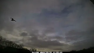 Preston Weather Time lapse 12 December 2023