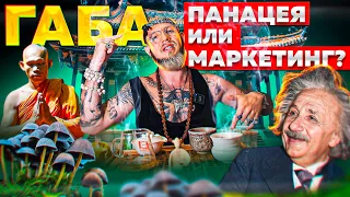 ГАБА ЧАЙ/ПОЛЕЗНЫЕ СВОЙСТВА/КАК ЗАВАРИВАТЬ/ИСТОРИЯ И МИФЫ