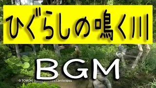 【勉強用BGM】ひぐらしの鳴き声と川のせせらぎ / 作業用BGM