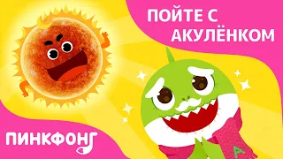 Сияй под водой | Акулёнок | Пойте с Акулёнком | Пинкфонг Песни для Детей