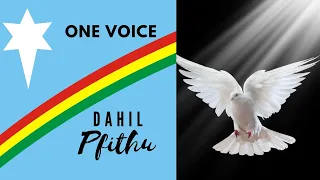 ONE VOICE | Dahil Pfithu| Official video lyrics