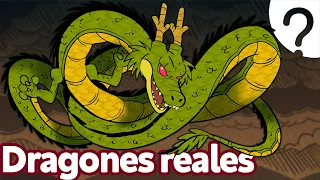 8 Dragones y dónde encontrarlos 🐉