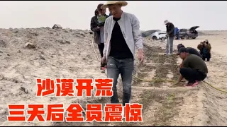 阿宁带团队在沙漠盐碱地上种菜，发电机引水开荒，三天后全员沸腾