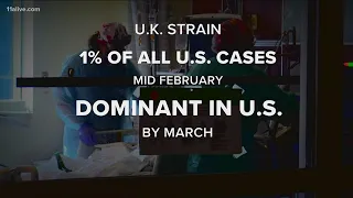 Where are the mutated COVID-19 variants, spreading around the world, coming from?