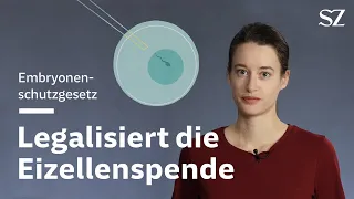 Legalisiert die Eizellenspende