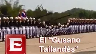 El "Gusano tailandés"