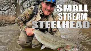 Wisconsin Steelhead Fishing in Lake Michigan Tributaries