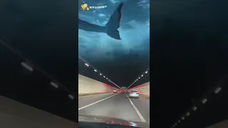 UNDERWATER TUNNEL IN QINGDAO, CHINA 🐟ПОДВОДНЫЙ ТУННЕЛЬ В ЦИНДАО, КИТАЙ 🐋ÇİN QİNGDAO SU ALTI TÜNELİ 🐠