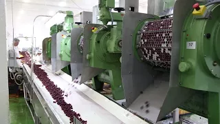 Fruit pitting machine | cherry pitting - Tooltechnik