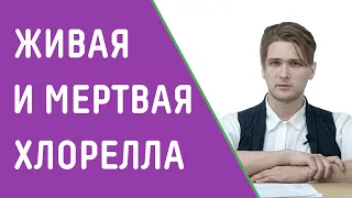 ЖИВАЯ И МЕРТВАЯ ХЛОРЕЛЛА