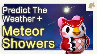 How To Predict 𝗠𝗘𝗧𝗘𝗢𝗥 𝗦𝗛𝗢𝗪𝗘𝗥𝗦 🌟 And The Weather 🌞 - Animal Crossing: New Horizons 🌴