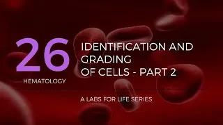 Part 3b -Identification and Grading of Cells on a PBS