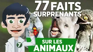77 FAITS SURPRENANTS SUR LES ANIMAUX
