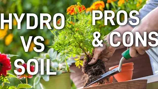 Hydro VS Soil (pros & cons)