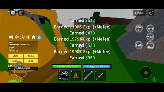 Grinding in Blox Fruits until max level day 7