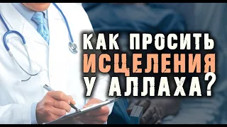 Лучшие мольбы (дуа) для исцеления от болезней! Шейх Мишари аль-Харраз