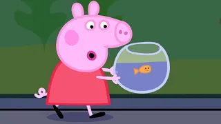 Kids Videos | Peppa goes to the Aquarium    Peppa Pig Official | New Peppa Pig