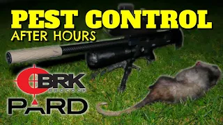 Pest control pcp airgun AT NIGHT