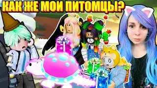 ИЗ-ЗА ВЗЛОМА НЕ УСПЕЮ НА ИВЕНТ В АДОПТ МИ! Roblox Adopt Me