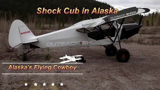 Shock Cub in Alaska