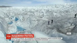 Вчені NASA з'ясували, що льодовики Гренландії припинили танути та почали знову рости