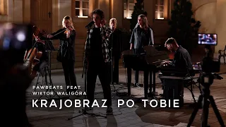 Pawbeats ft. Wiktor Waligóra - Krajobraz po Tobie
